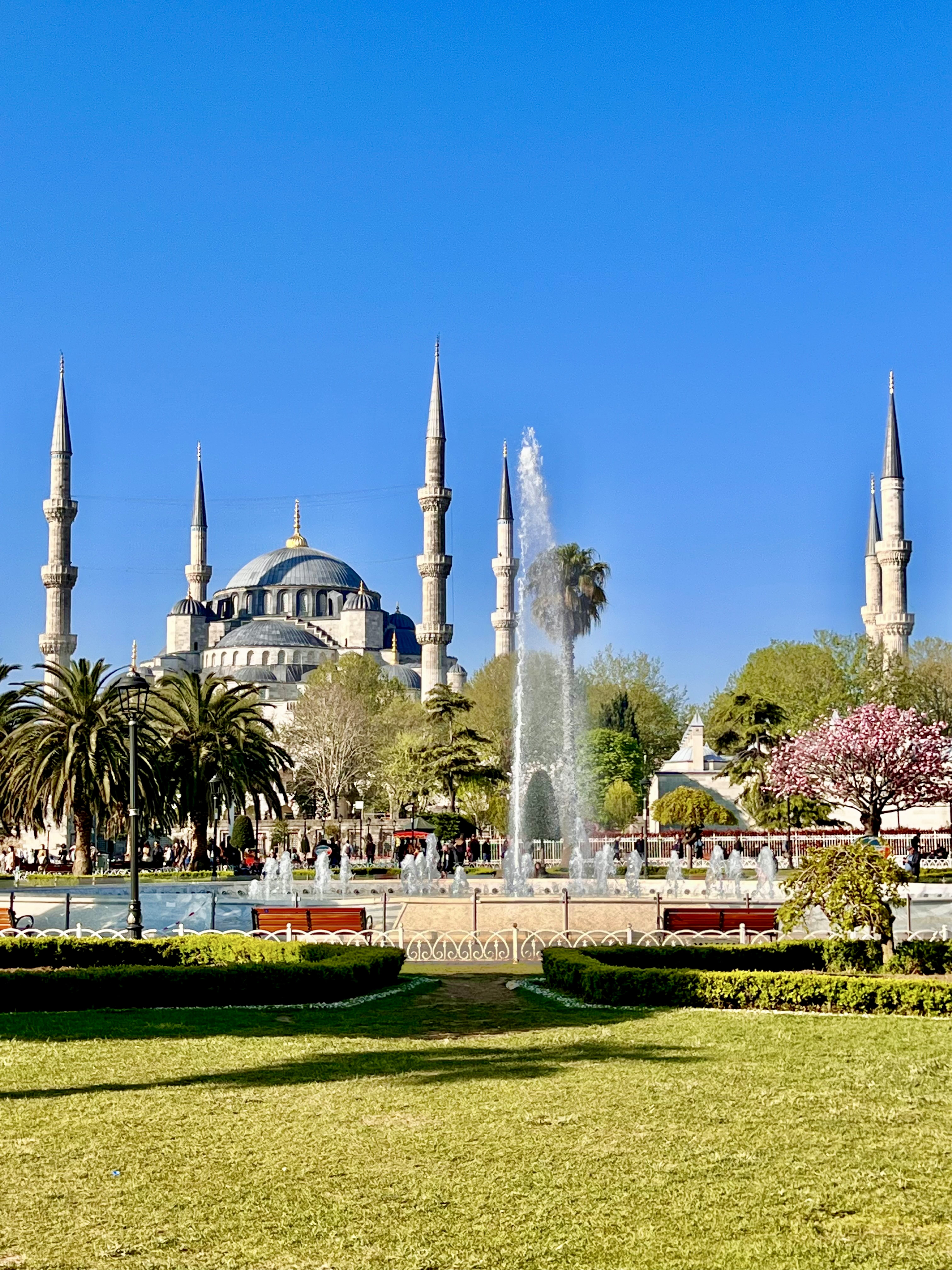 The Blue Mosque view