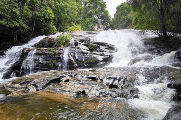 Chiang Mai to Doi Inthanon Guided Nature Trail and Elephant Tour