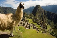 Machu Picchu full day tour train from Ollantaytambo 2