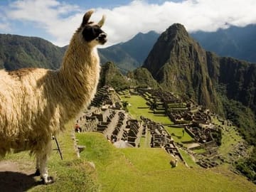 Full Day Machu Picchu Tour by Train from Ollantaytambo