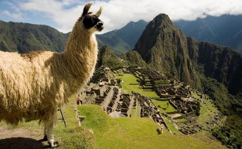 Full Day Machu Picchu Tour by Train from Ollantaytambo