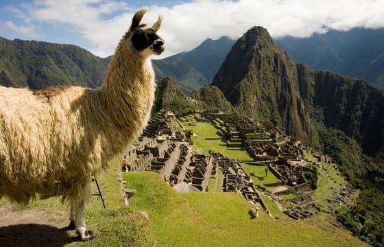 Machu Picchu full day tour train from Ollantaytambo