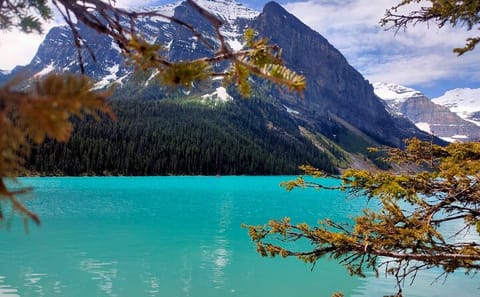 Day Trip to Lake Louise, Moraine Lake, and Banff from Calgary