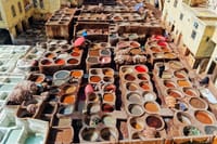 Tannery