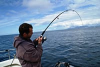 Deep sea angling from Cleggan. Galway. Guided.  3