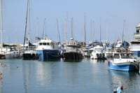 30 Minutes Sightseeing Cruise of Tel Aviv Coast Line with Music  3