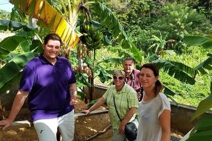 Let’s Go Native Roatan City Cultural Tour, Transfer