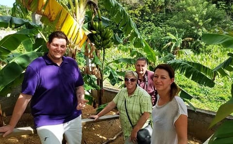 Coxen Hole Cultural Tour and Local Experience in Roatán
