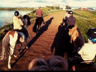 1 hour Riding tour Lake Myvatn area, photo 9