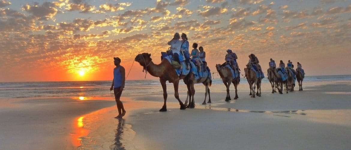 Camel riding with BBQ and sunset 10