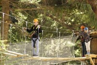 Canopy