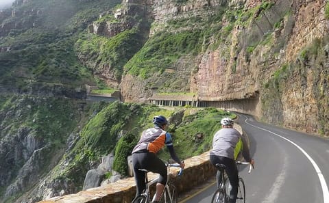 Cape Town Coastal Tour: Cape Point, Penguins, and Scenic Views