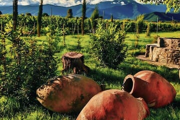 Private Tour From Tbilisi to Kakheti Sighnaghi with Wine Tasting