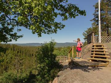 Private Wildlife Hike in Oslo's Lush Forests