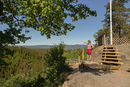 Private Wildlife forest hike