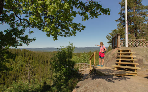 Private Wildlife Hike in Oslo's Lush Forests