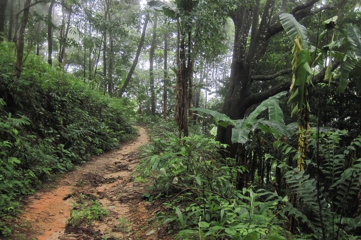 Full-Day Advanced XC Downhill Biking at Doi Suthep National Park Chiang Mai 6