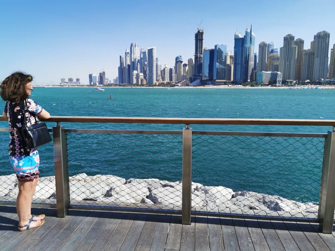 Dubai: full day city tour and desert safari 6