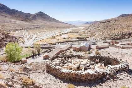 San Antonio de los Cobres Day Trip from Salta