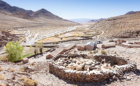 San Antonio de los Cobres Day Trip from Salta with Scenic Views