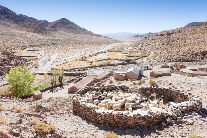San Antonio de los Cobres Day Trip from Salta 3