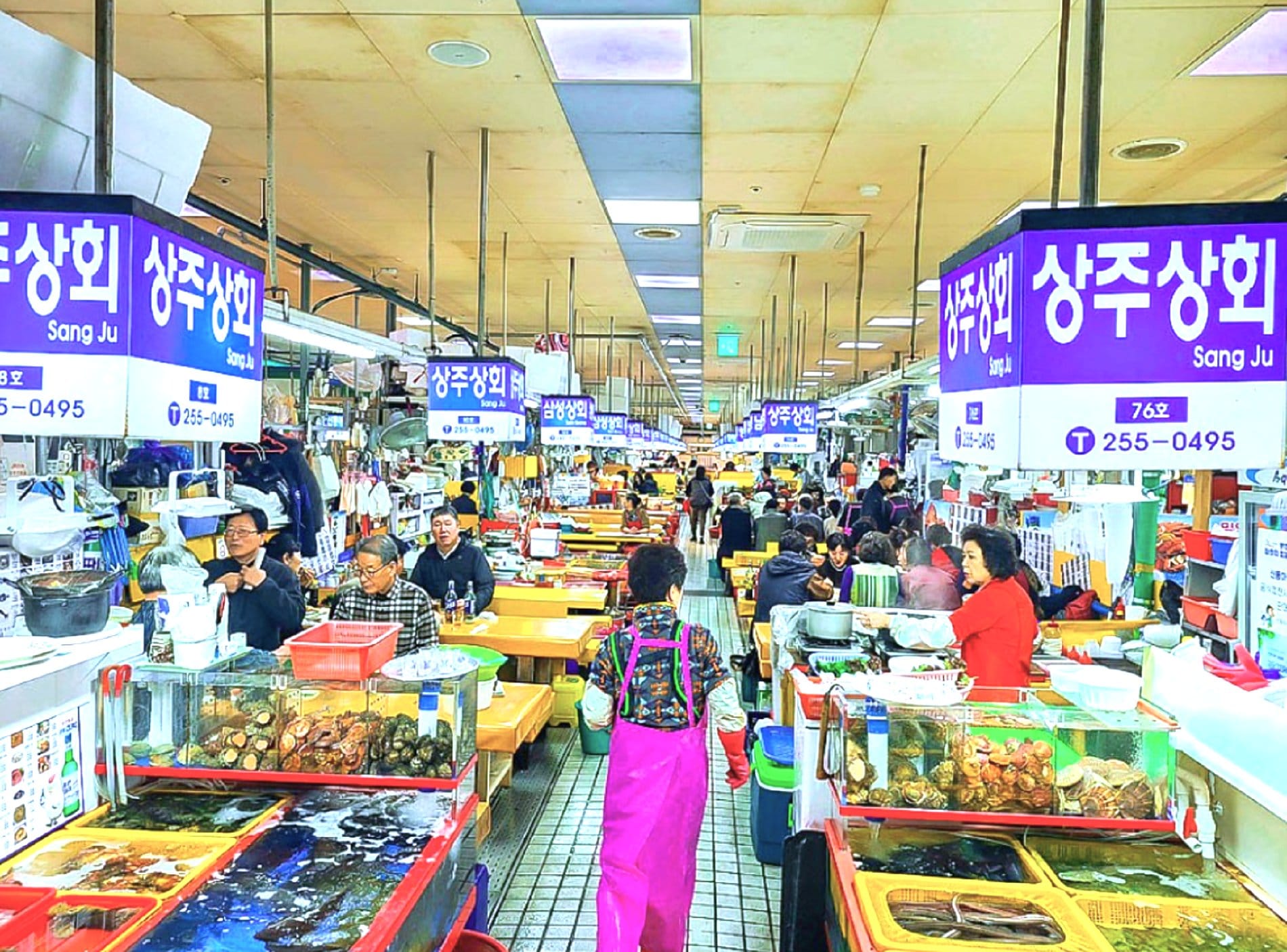 Water tanks with fresh seafood inside Jagalchi Fish Market in Busan