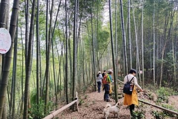 Hiking the Tofu Ancient Trail from Shanghai to Hangzhou