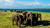 Take a 10 days vacation around Sri Lanka with an amazing beach experience 5