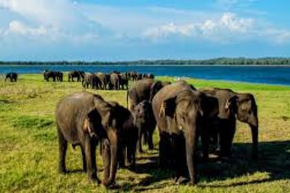 Take a 10 days vacation around Sri Lanka with an amazing beach experience