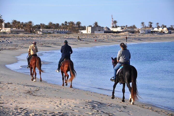 3 Hours Sunrise Horse Riding Beach and Desert from Marsa Alam