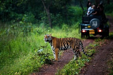 Cultural and Nature Tour of Amchha Khurd, Bhojpur, and Bhopal