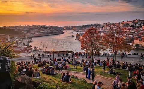 Private Panoramic Tour of Porto and Matosinhos Coastline
