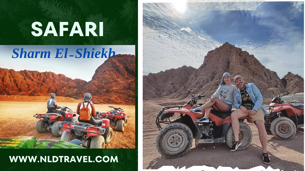 Sharm El Sheikh Buggy, Camel Ride, Bedouin Dinner & Stargazing Adventure