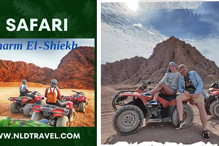 Sharm El Sheikh Buggy, Camel Ride, Bedouin Dinner & Stargazing Adventure