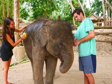 Elephant Care Experience at Phuket Wildlife Sanctuary