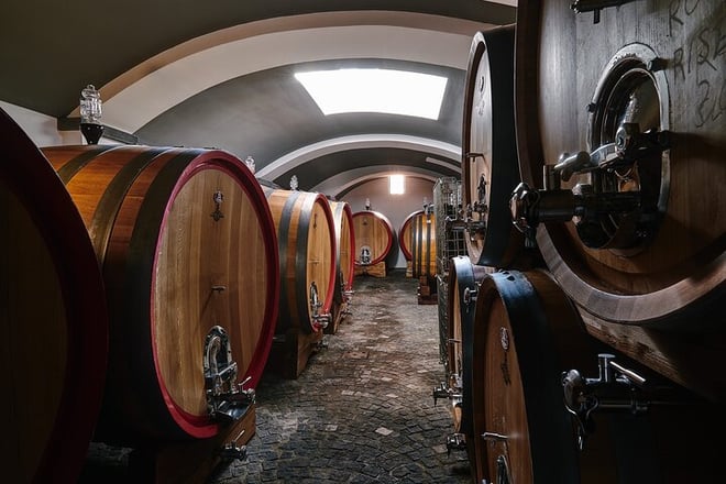 Vesuvius Organic Wine Tasting and Lunch, Transfer from Pompeii - Photo 2