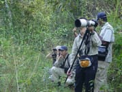Bird watching & trekking in Udawatta Kele Sanctuary 3