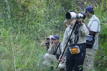 Bird watching & trekking in Udawatta Kele Sanctuary