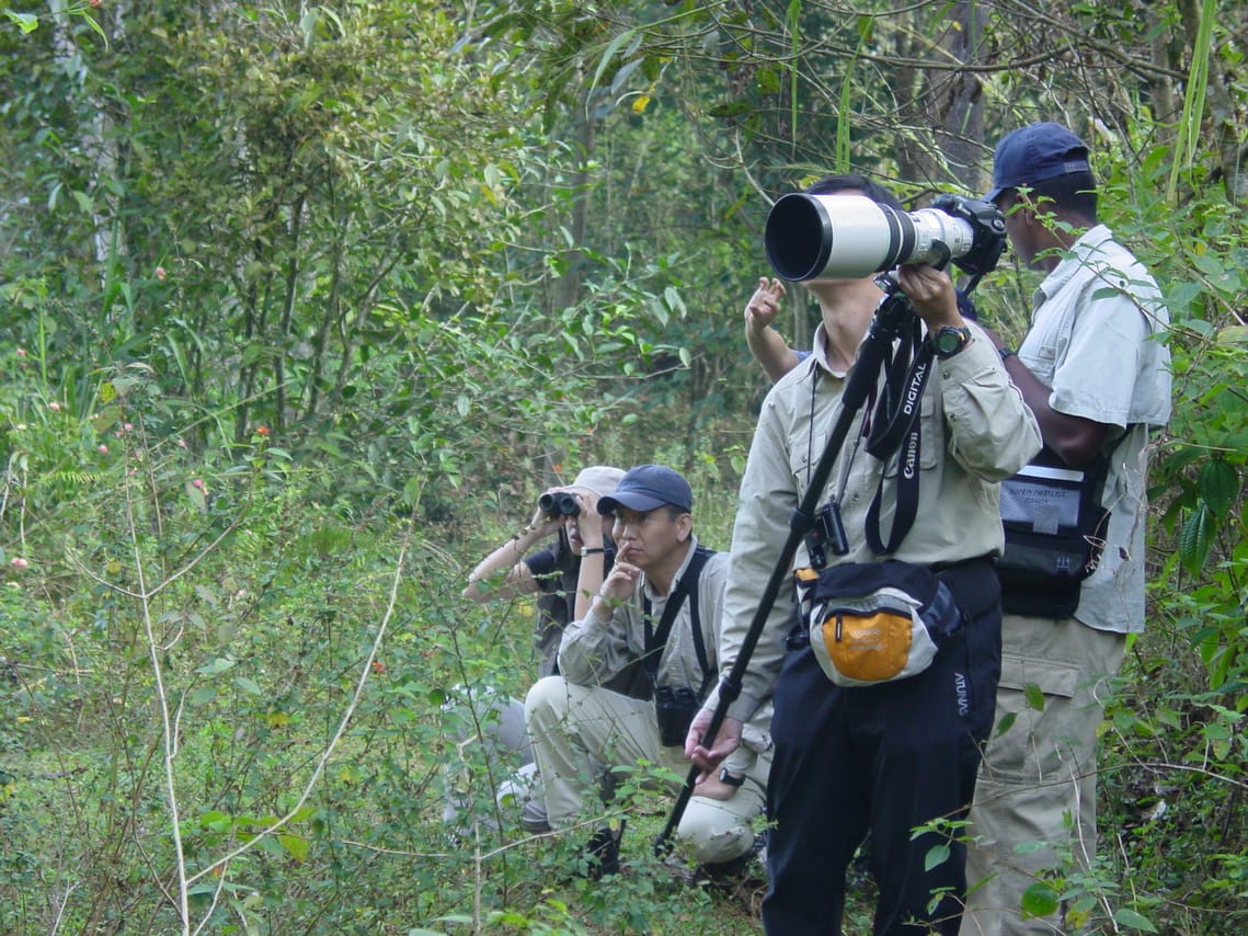 Bird watching & trekking in Udawatta Kele Sanctuary 3