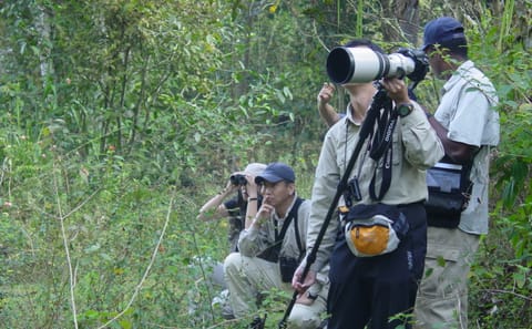 Bird Watching and Trekking in Udawatta Kele, Kandy