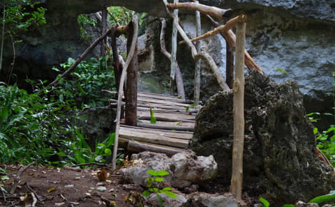 Zanzibar: Revealing The Hidden Wonders of Kuza Cave