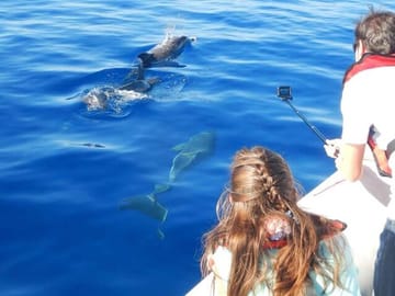 Private 4-Hour Speedboat and Snorkeling Tour in Hurghada