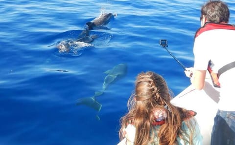 Private 4-Hour Speedboat and Snorkeling Tour in Hurghada