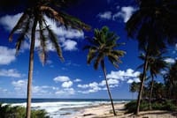 Forte Beach