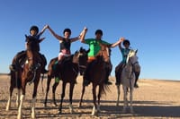 Two Hours Adventure Horse Riding In Hurghada 2