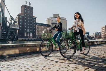 Paris Seine Bicycle Tour, Optional Louvre Entrance