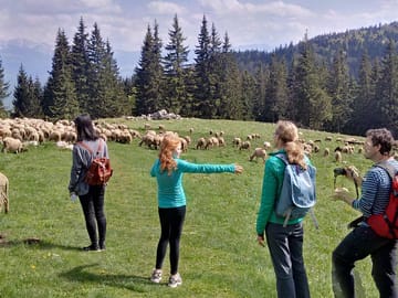 2-Day Cultural and Adventure Tour in Transylvania from Brașov