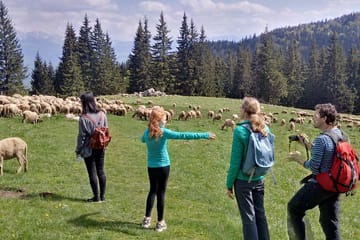 2-Day Cultural and Adventure Tour in Transylvania from Brașov