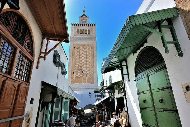 Private Guided Tour of Tunis: Explore Bardo Museum & Medina