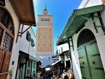 Private Tour of Bardo Museum, Zitouna Mosque & Medina in Tunis
